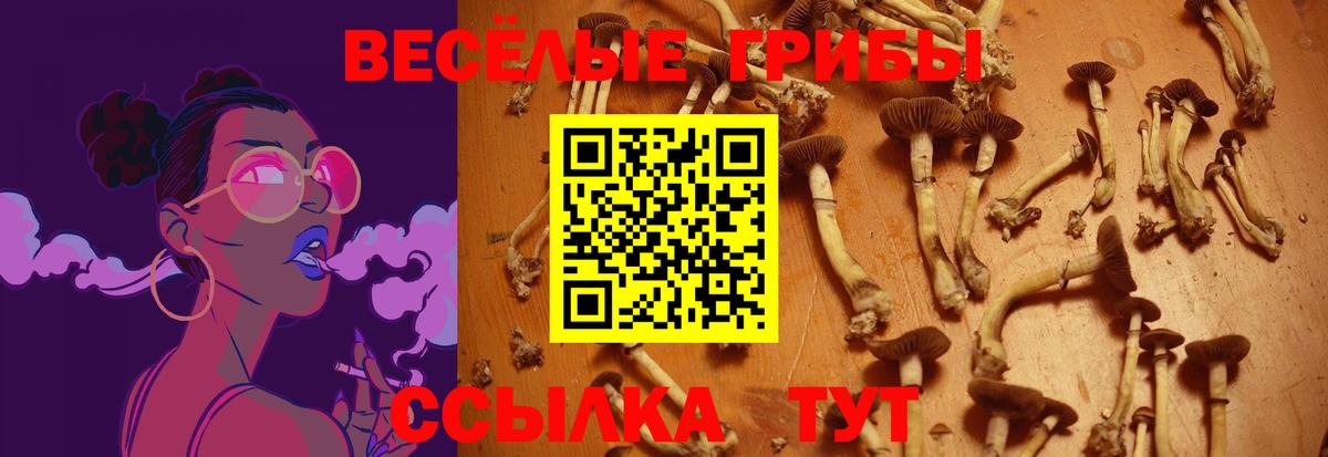Галлюциногенные грибы мицелий  Вход с VPN  Химки 